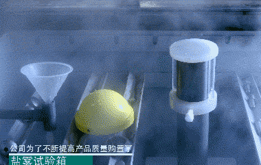 j9九游会·真人游戏第一品牌